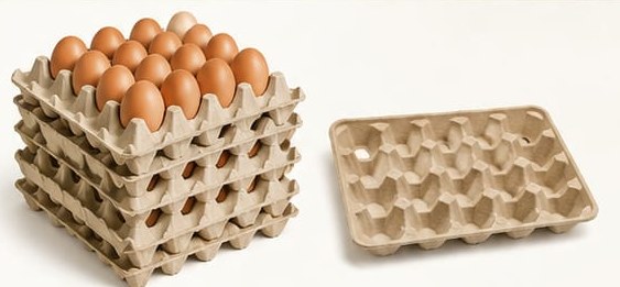 Moulded Pulp Egg Trays by GreenLeaf Packaging